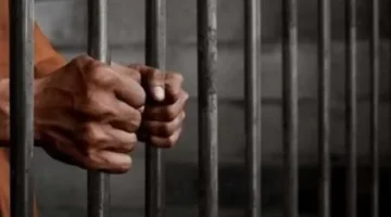 خطة العصابة الثلاثية.. اعترافات مثيرة حول سرقة 8 هواتف وبيعها لتاجر سيء النية